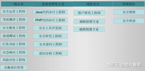 網(wǎng)絡(luò)安全與軟件開(kāi)發(fā) 未來(lái)十年的黃金賽道與歷史鏡鑒